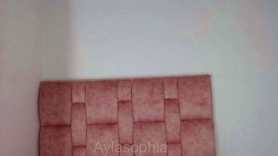 AilyShopia Live Image