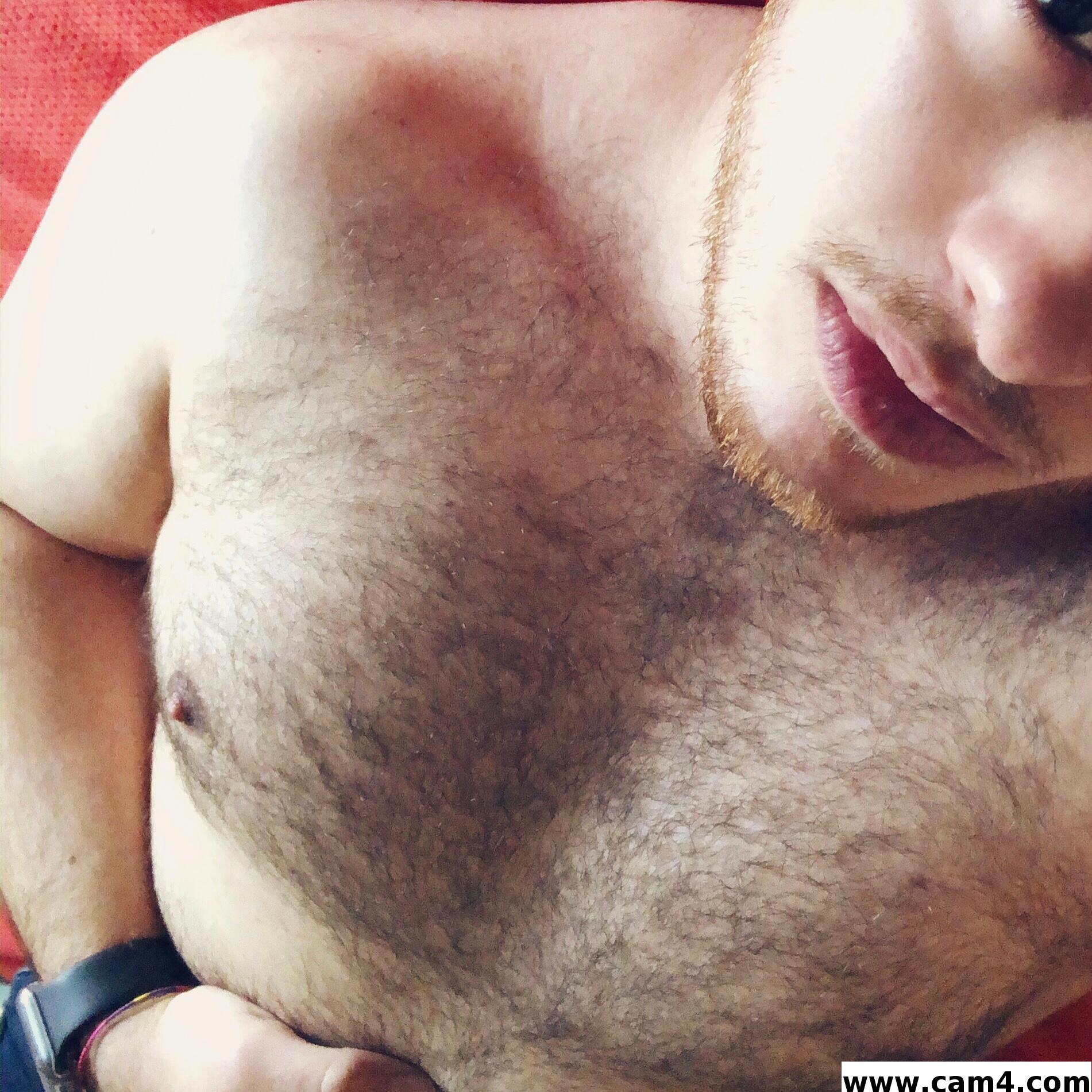 Auburn_beard