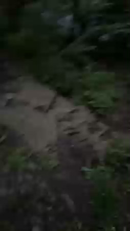 Caffy00 Live Image