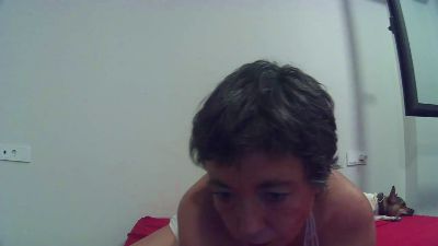 Catylandi1 Live Image