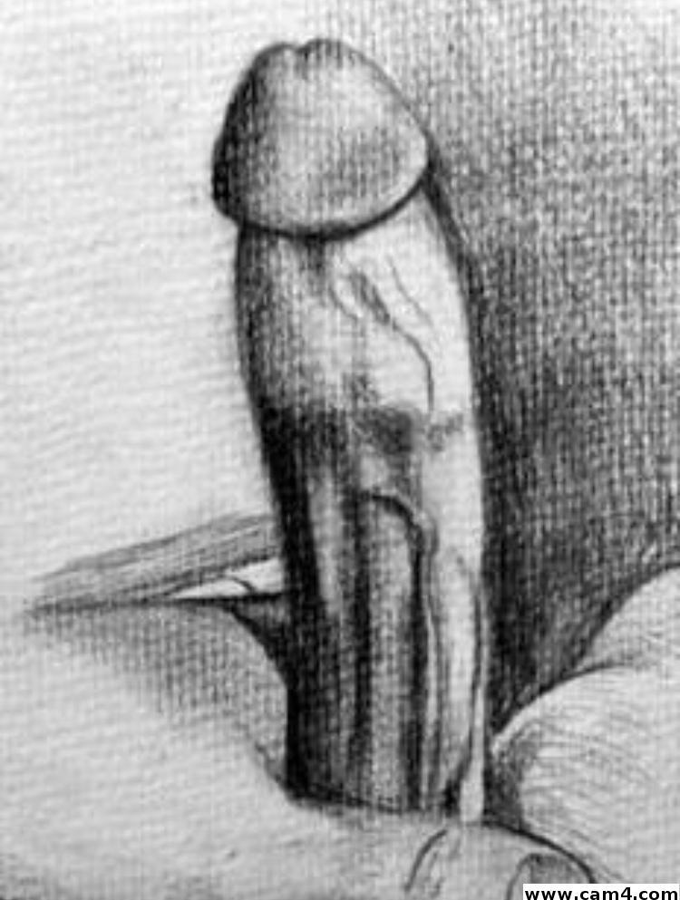 Donneurchaud Live Image