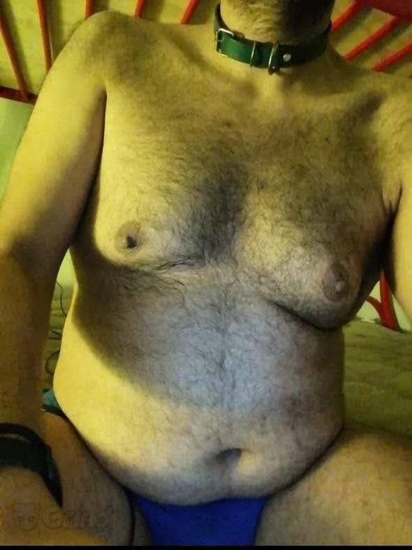 LalosoBear Live Image