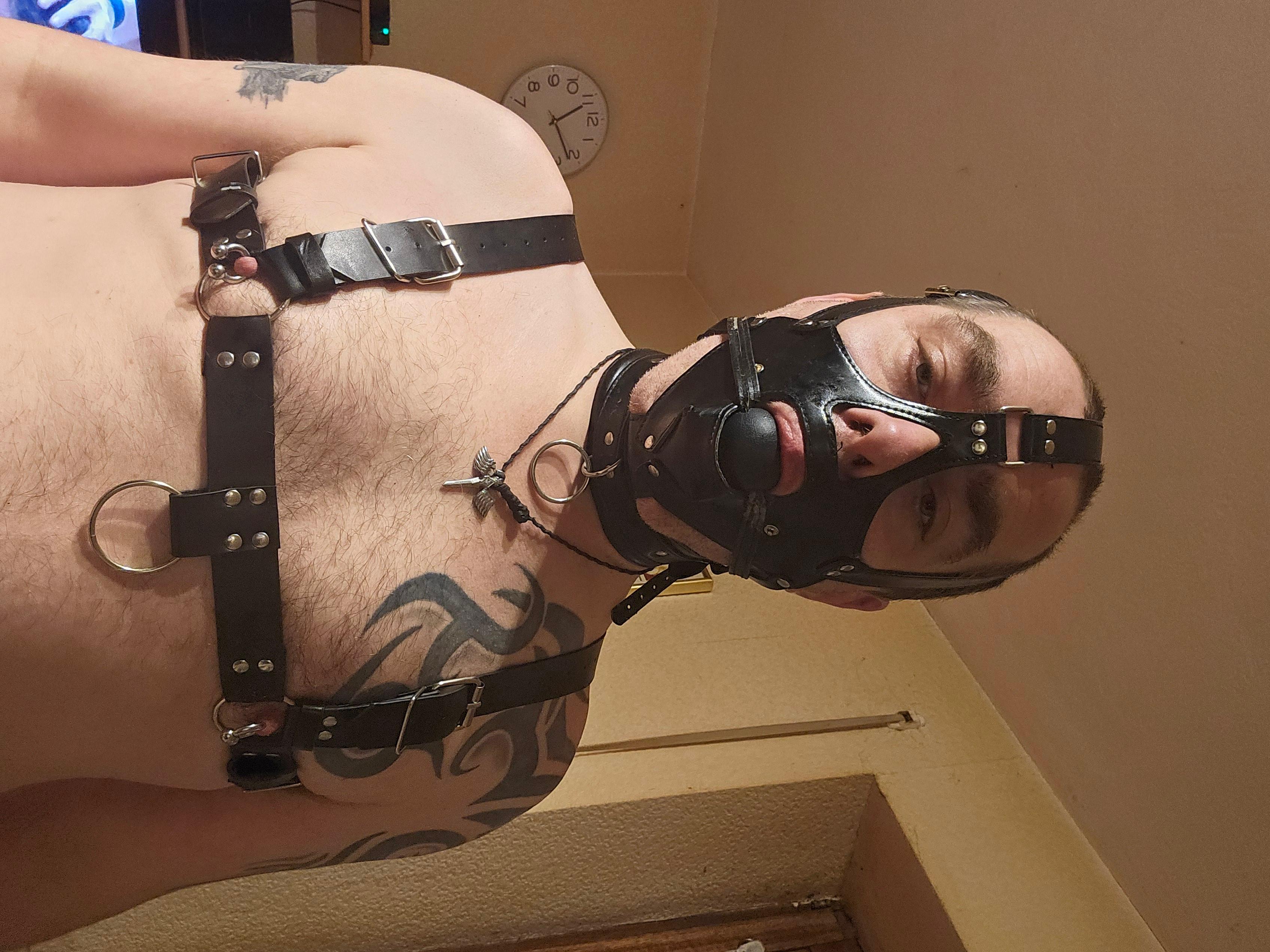Locked_slave44 Live Image