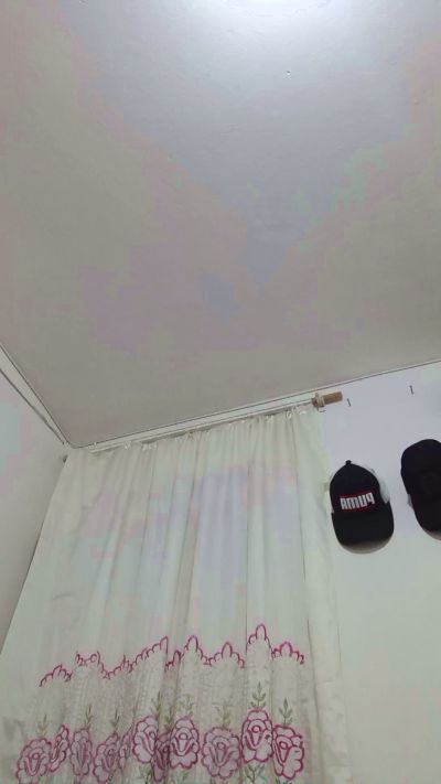 Melga02 Live Image