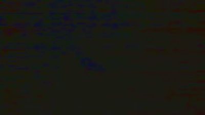 Morenochiler Live Image