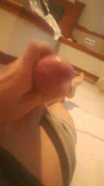 NovinhoDot369