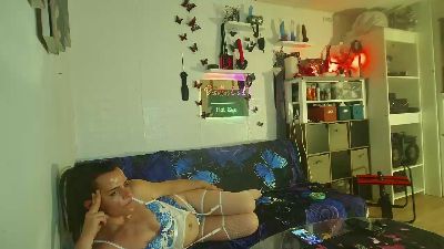 Papillondusud Live Image