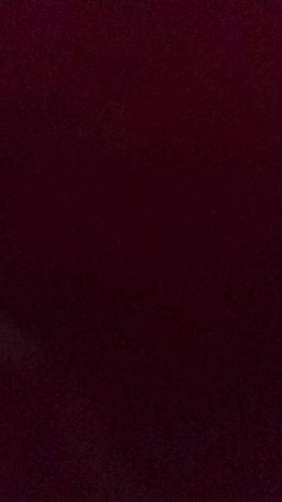 Silkworm_Piper Live Image