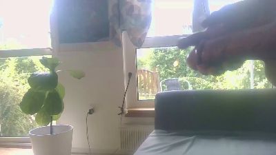 Sturtlem Live Image
