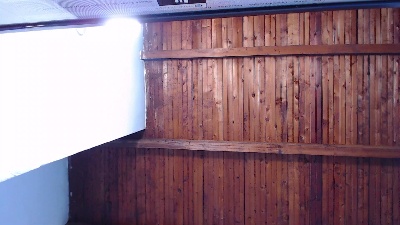 bbc_stallionn Live Image