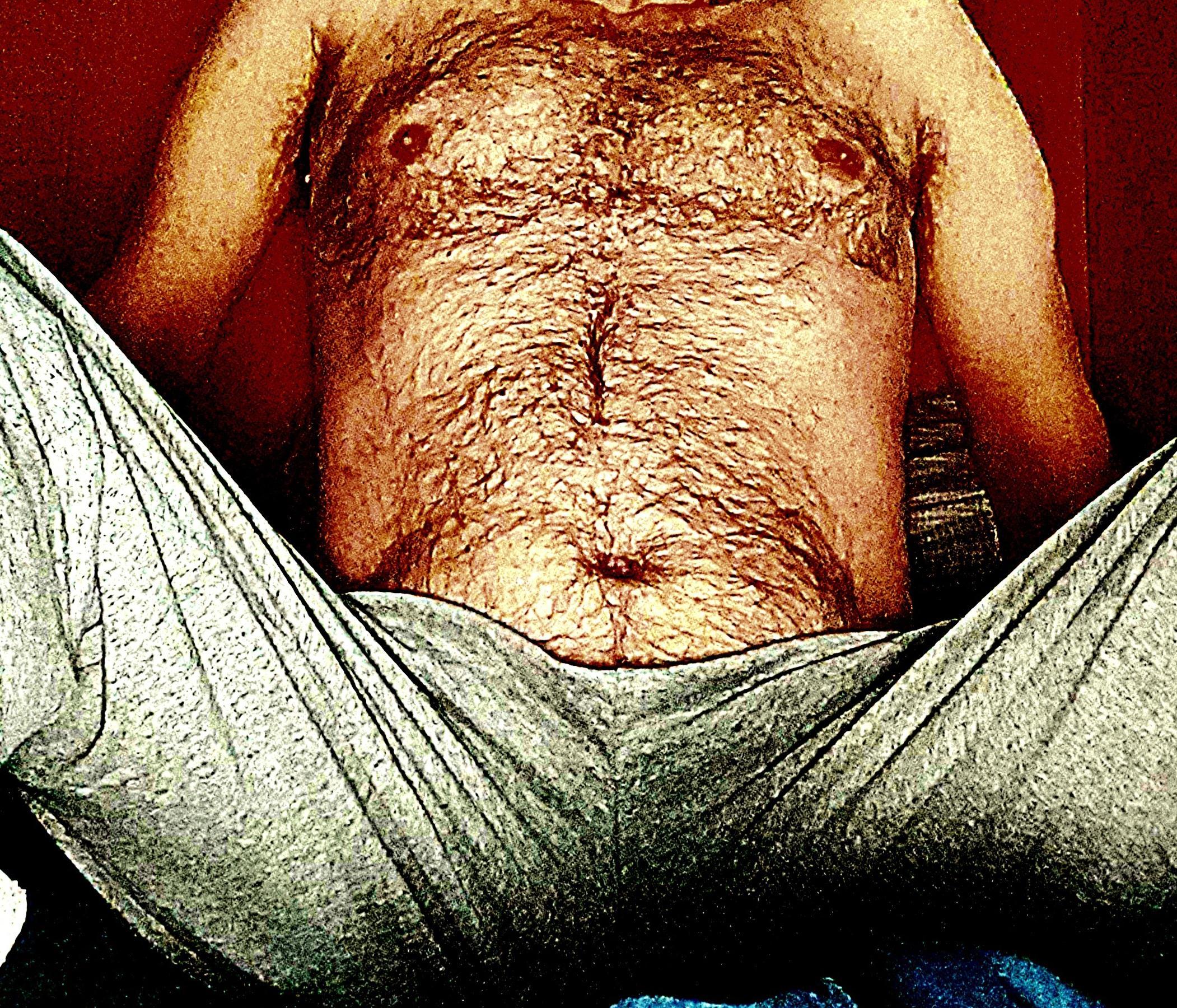 bearotto