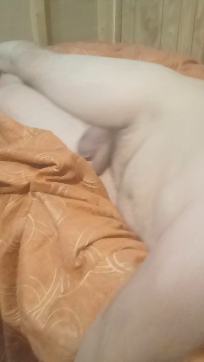 bigdaddy8883 Live Image