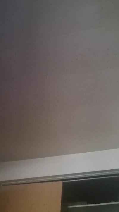 bigwise Live Image