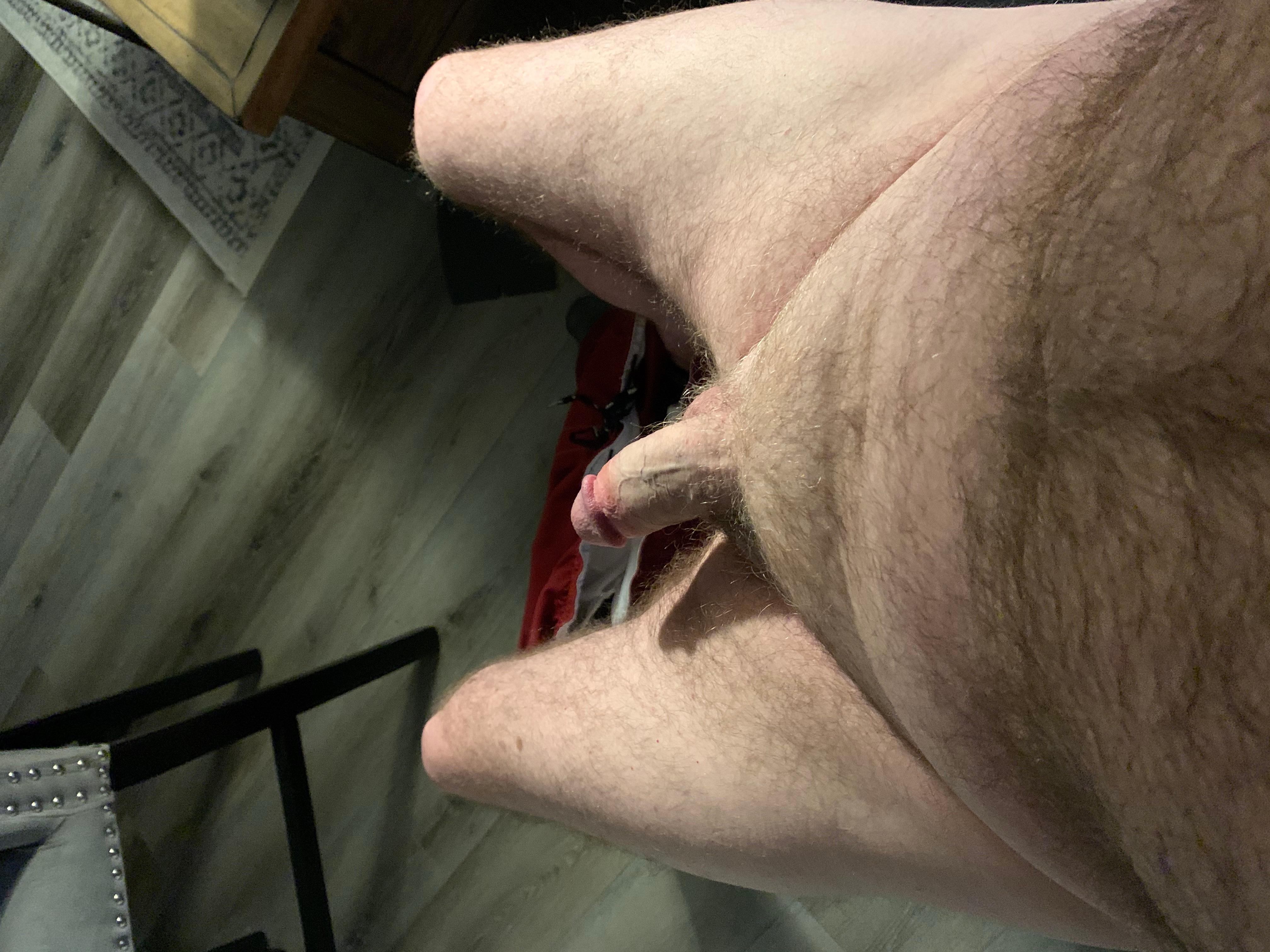 bilgp