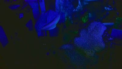 blindsurfer Live Image