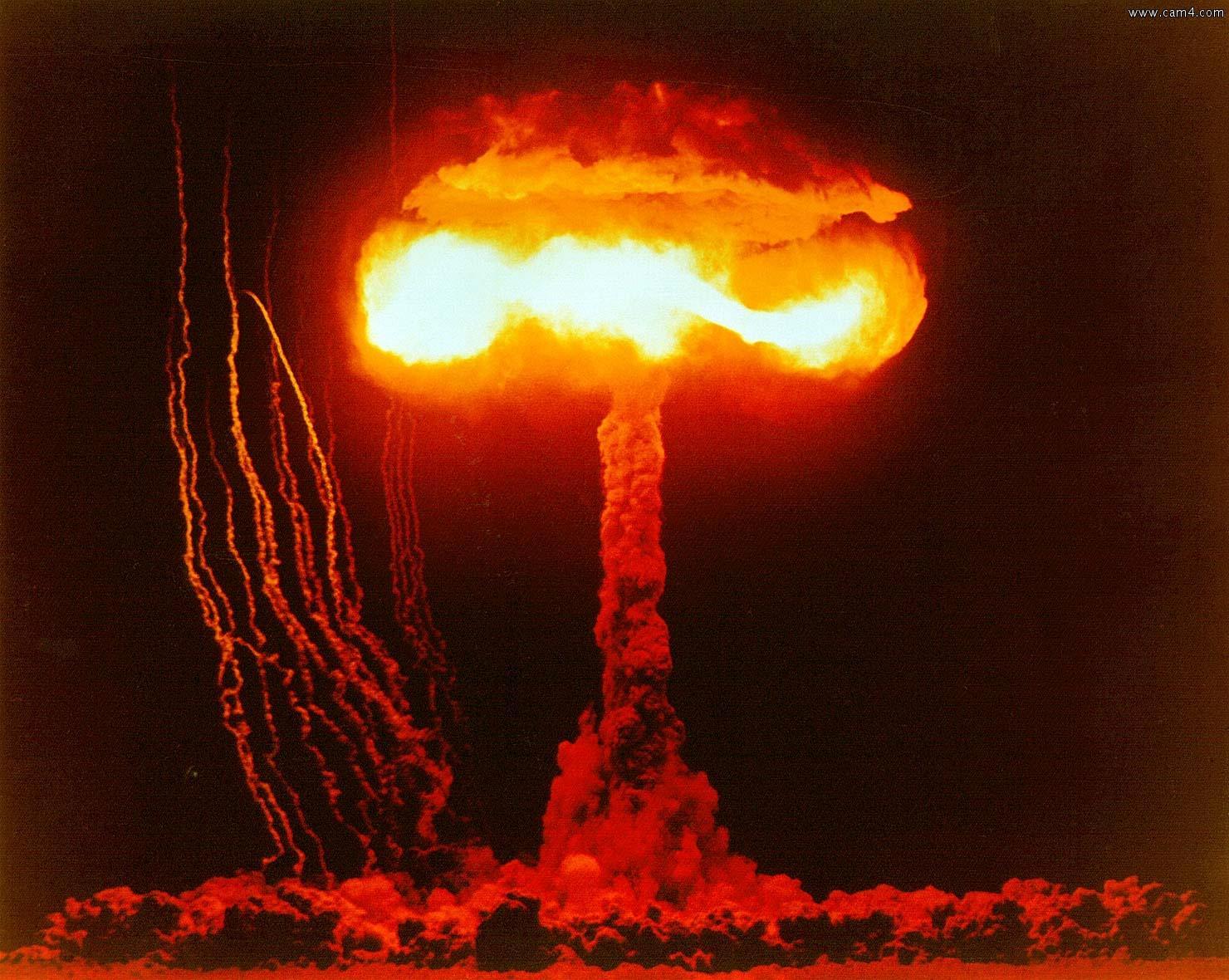 bomber_on Live Image