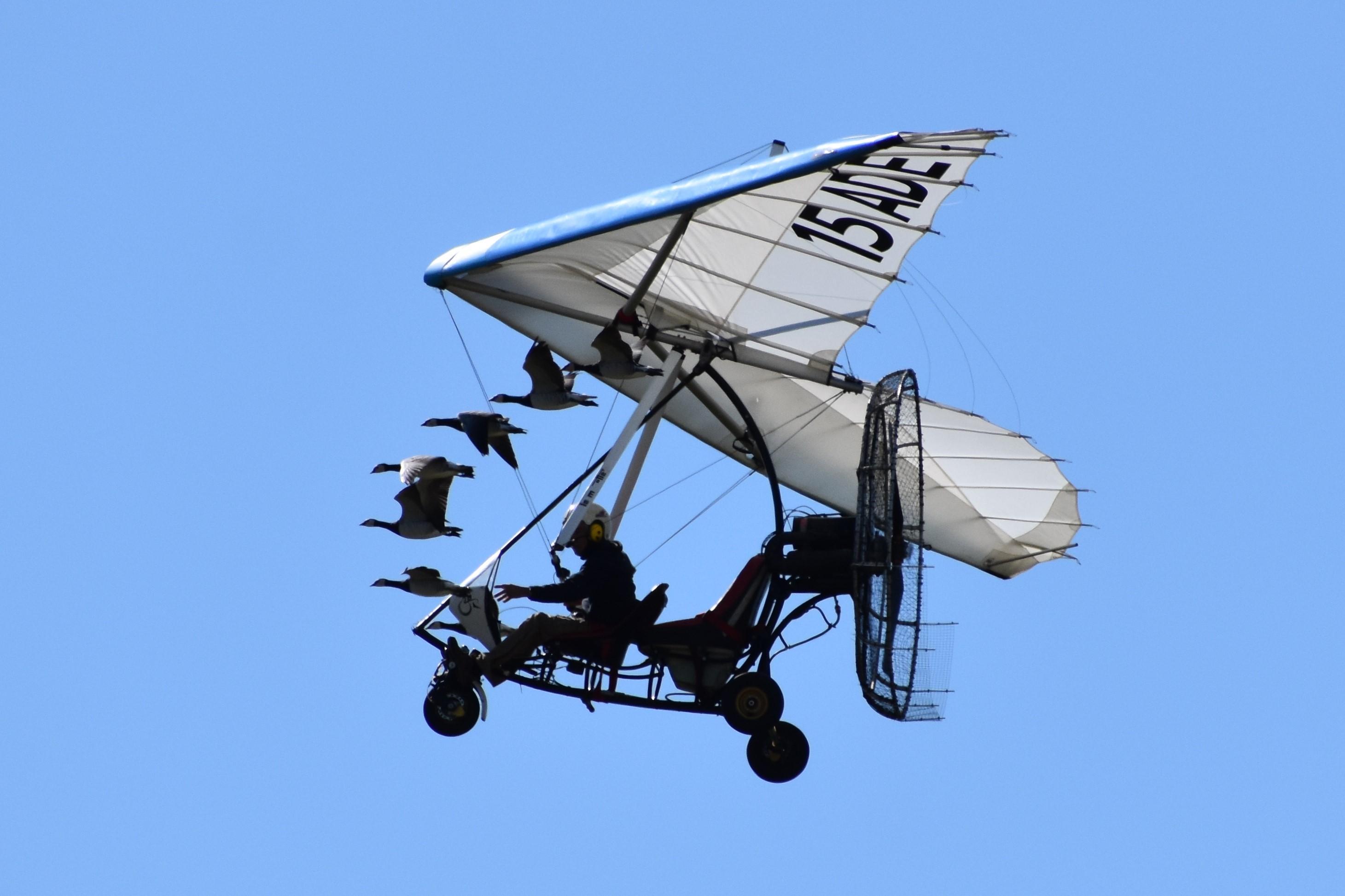 maxidoux Live Image