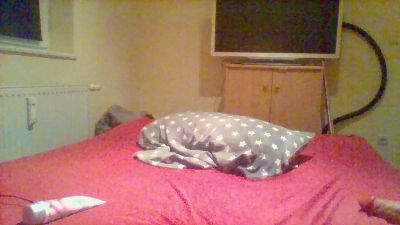 novarton2 Live Image