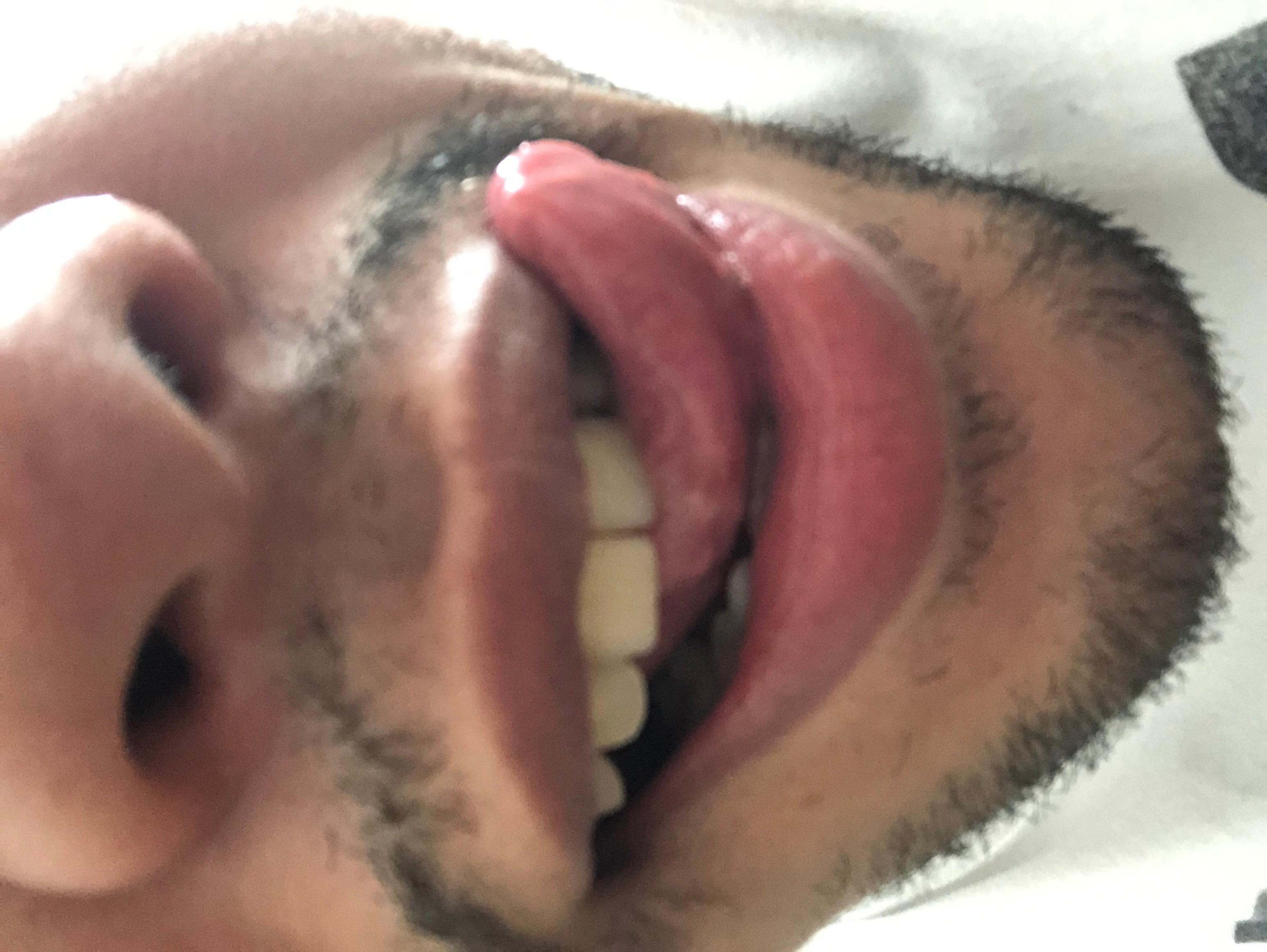 pauzud0g