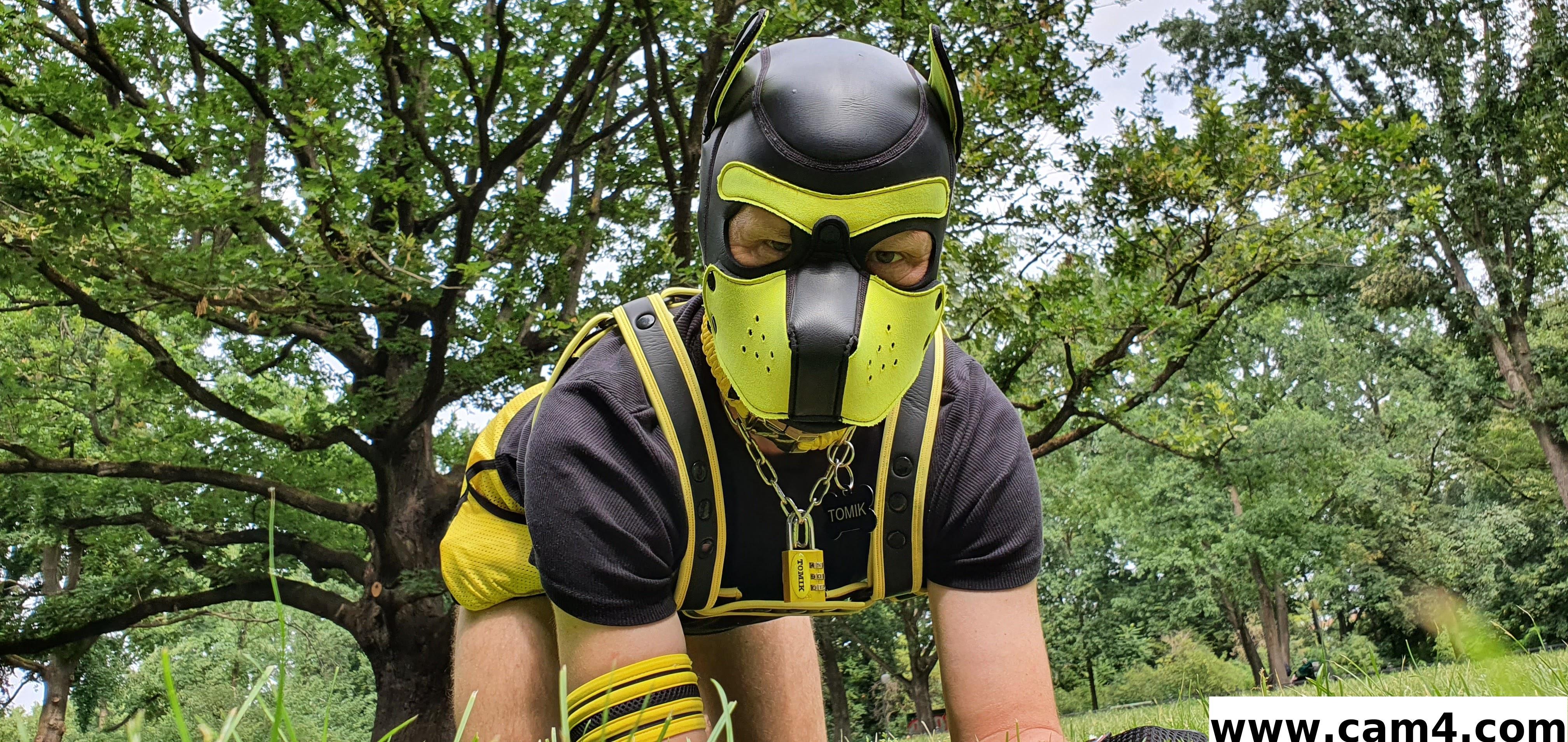 puppy_tomik Live Image