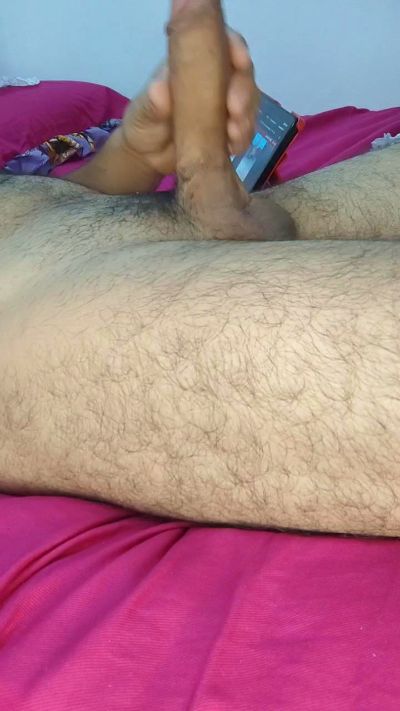 safadofortal28