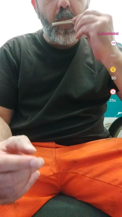sonoboris Live Image