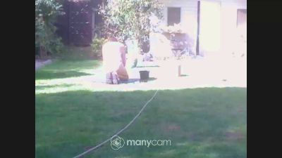 string_boy42 Live Image