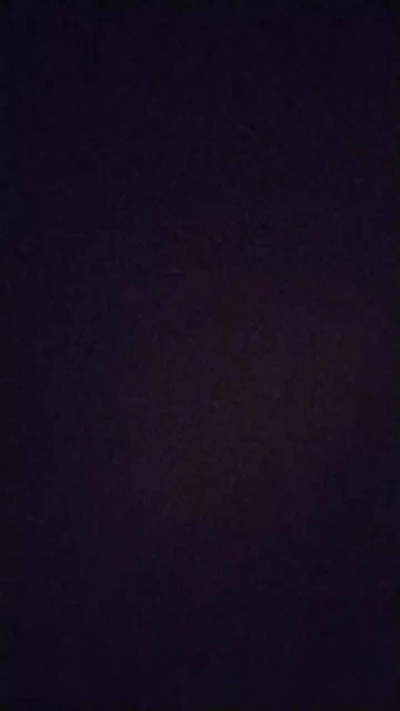 Blue_bunny0 live from Italy