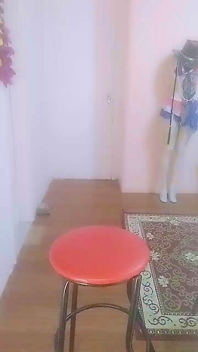 Isadoradelicia live from Brazil
