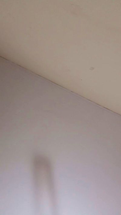 Melzinha3737 live from Brazil