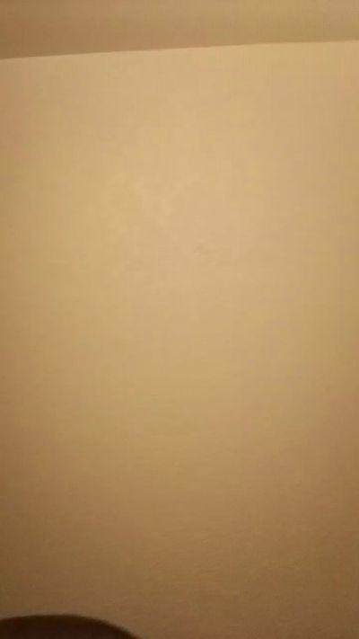 Shorty_Frito live from United States
