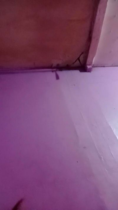 angelxx19 live from Chile