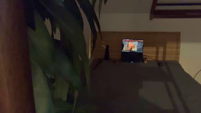 fistaux live from Germany