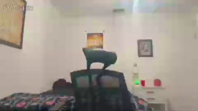 flfun96 live from United States