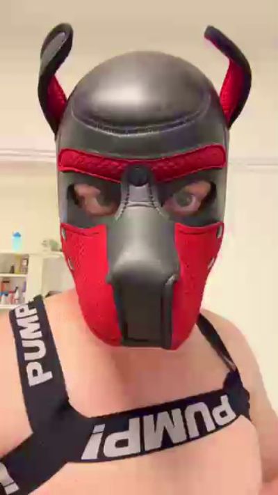 fuckpyppydog live from Netherlands