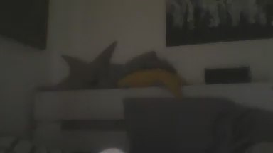 pincealbert live from Argentina