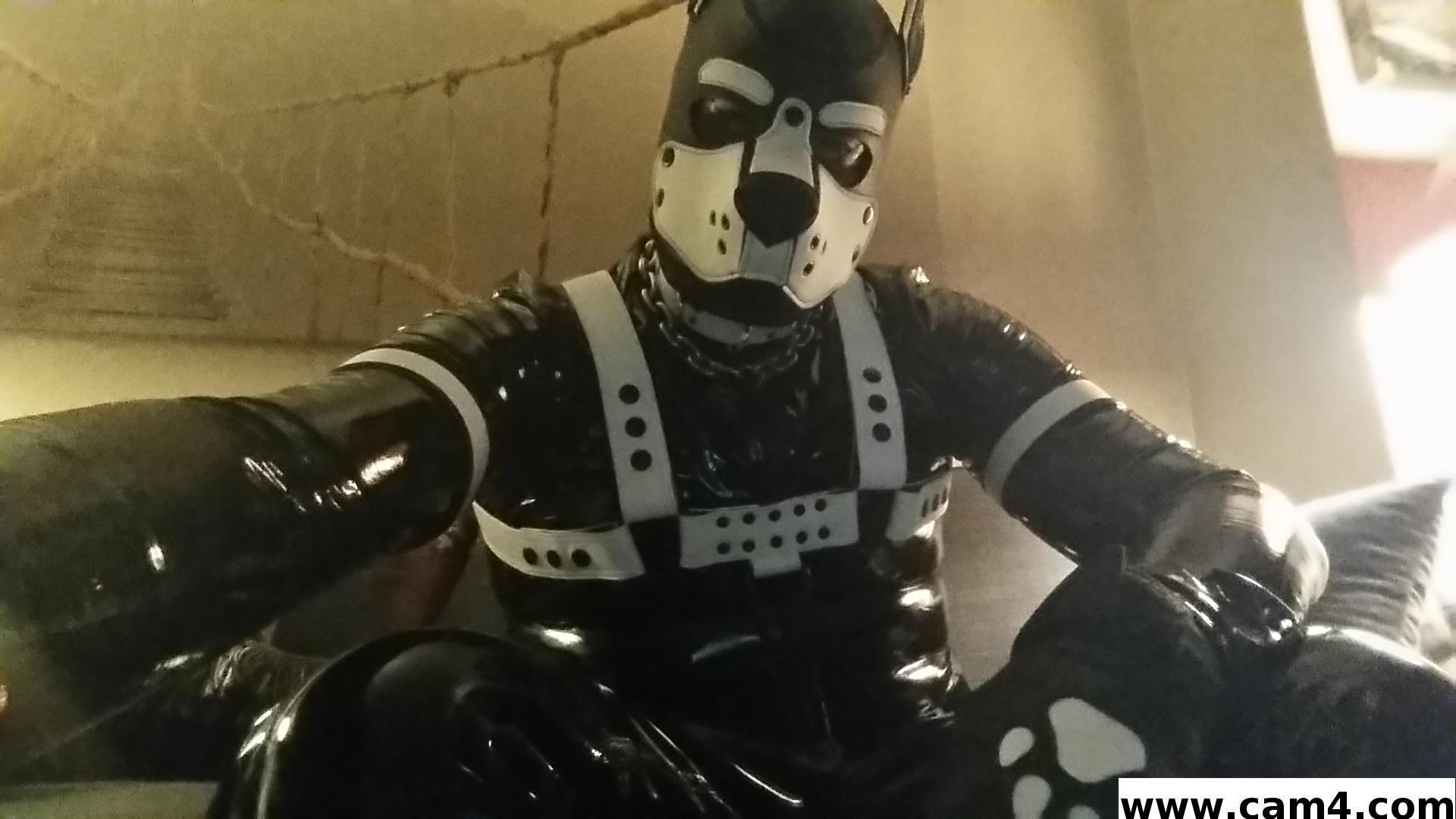 rubberfly live from United States