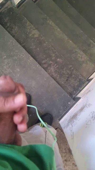 snpdps live from Brazil